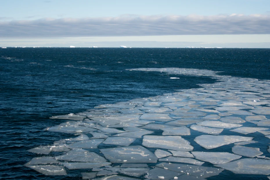 An ocean scene with broken ice sheet in the foreground and a snowy landmass in the background.