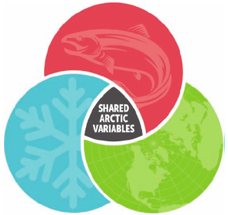 Visual representation of considerations that go into creating Shared Arctic Variables (SAV)s. Three overlapping circles with their intersection at the centre coloured black with white text reading "SHARED ARCTIC VARIABLES". The top circle is light red with a lighter red imprint of a stylized fish, the bottom left circle is blue with a lighter blue imprint of a snowflake, and the bottom right circle is green with lighter green imprints of te continents, making the green circle appear as the Earth.